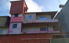 Megafarm Inn